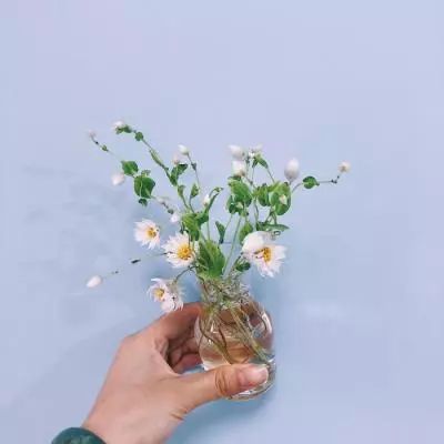 洪荒战道游戏