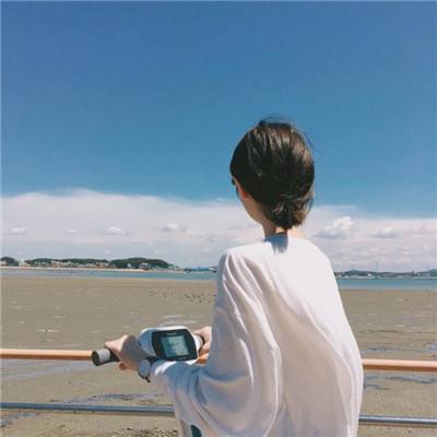 战双帕弥什无限内购版下载